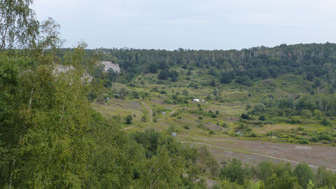 Foto der Grube Messel.