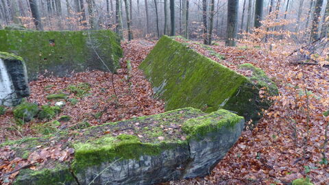Foto einer vollständig zerstörten Bunkerstellung