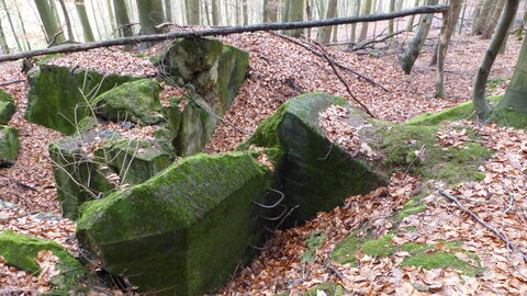 Foto von Bunkerüberresten mit gut erhaltener Aufstiegshilfe zum Notausgang