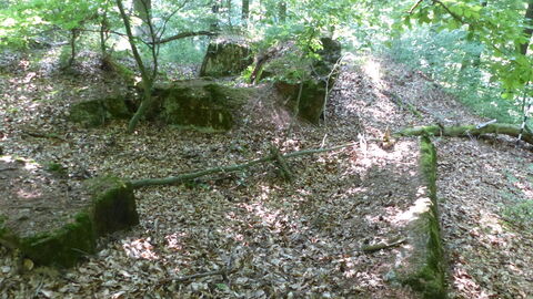 Foto der kaum noch wahrnehmbaren Überreste eines Bunkers im Wald