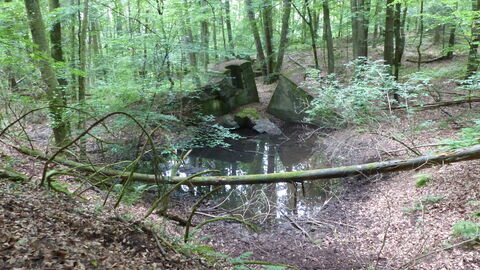 Foto eines den Hang heruntergerutschten und auseinandergebrochenen Bunkers