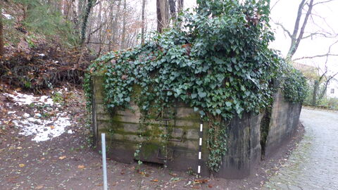 Foto eines durch Wurzeln gesprengten Bunkers