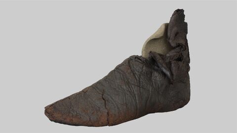 ... konnte der Lederschuh rückgeformt werden. Foto zur Gefriertrocknung zur Nasslederkonservierung.