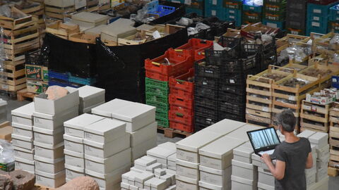 In jeder Kiste findet sich sorgsam dokumentiertes Fundmaterial. Foto des Inneren des Zentraldepots.