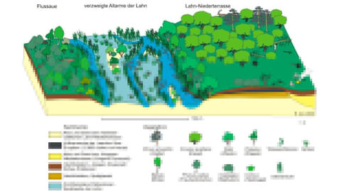 Vegetations- und Umweltrekonstruktion im Umfeld eines frühmesolithischen Jagdlagers in der Flusslandschaft bei Niederweimar (um 8000 v. Chr.). Grafik Rekonstruktion einer bewaldeten und mit Flussrinnen durchzogenen Flusslandschaft.