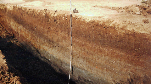 Foto tiefer Baggerschnitt durch Auensedimente und Kolluvien. 