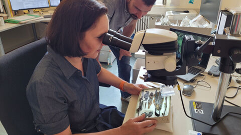 Foto der Textilforschung