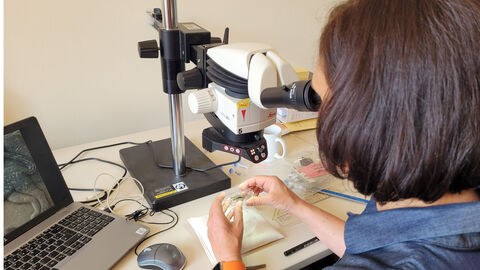 Foto der Textiluntersuchung