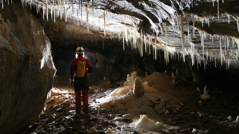 Foto aus dem Paläontologischen Bodendenkmal „Breitscheid-Erdbacher Höhlensystem“ (Lahn-Dill-Kreis).