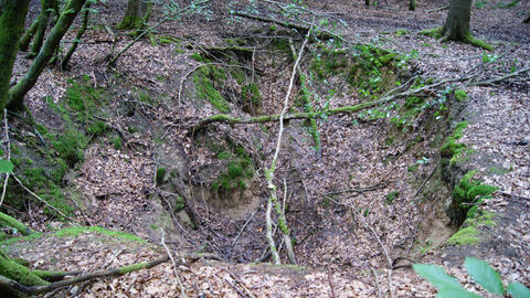 Typische Bergschäden im Wald. Pinge eines Stollenversturzes bei Weilburg-Hirschhausen.  Foto. Typische Bergschäden im Wald. Pinge eines Stollenversturzes bei Weilburg-Hirschhausen.