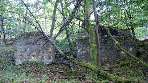 Nichts dreht sich mehr. Fundamentreste des Fördermaschinenhaus der Grube Morgenstern bei Lahnau-Waldgirmes. Foto. Fundamentreste des Fördermaschinenhauses der Grube Morgenstern bei Lahnau-Waldgirmes.