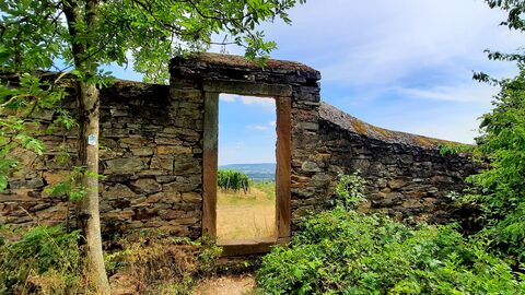 Foto Blick auf die Weinbergmauer an der Nordseite der Weinlage Dachsberg und die dahinterliegenden Weinberge.