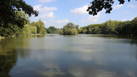 Der Große Weiher mit Insel im Ostpark in Frankfurt. Foto Großer Weiher mit Insel im Ostpark in Frankfurt.