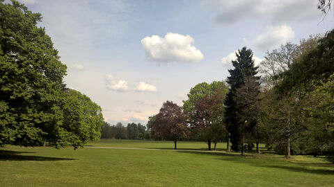 Blick über die zentrale Wiese im Ostpark in Frankfurt. Foto Blick über die zentrale Wiese im Ostpark in Frankfurt.