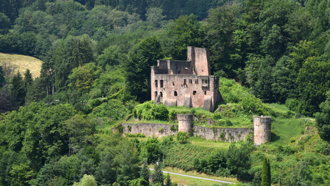 Verfallene Burgruinen wie die Freienstein im Odenwaldkreis stellen eine besondere Herausforderung für die Denkmalpflege dar und bringen die Kompetenzen von Bau- und Kunstdenkmalpflege sowie Archäologie zusammen. Foto der Burgruine Freienstein im Odenwaldkreis