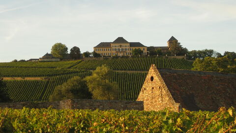 Klause und Weinberge unterhalb von Schloss Johannisberg im Rheingau. Foto Blick über die Klause und die Weinberge auf Schloss Johannisberg im Rheingau.