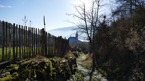 Der Weiseler Weg oberhalb von Lorch am Rhein. Foto Der Weiseler Weg oberhalb von Lorch am Rhein.