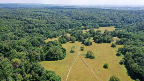 Foto Der Rabengrund im Nerotal mit Blick auf Wiesbaden. Der Rabengrund ist Bestandteil der Kurlandschaft Wiesbaden.