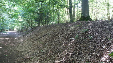 Im Boden des hessischen Wälder zeichnen sich noch immer die Reste der römischen Wallanlagen ab. Foto der Limesspuren im Wald