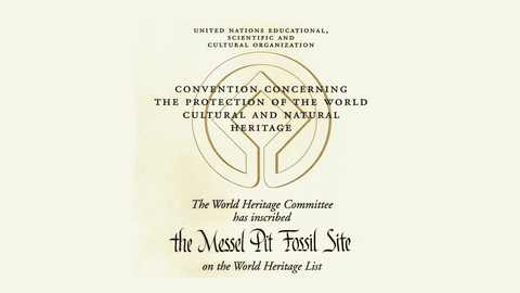 Die Ernennungsurkunde zum ersten deutschen Weltnaturerbe der UNESCO.