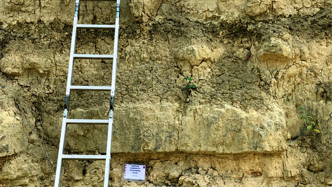 Schicht-für-Schicht Aufnahme der Wiesbaden-Formation am Paläontologischen Bodendenkmal „Algenriff der Wiesbaden-Formation“ im Steinbruch Ostfeld / Wiesbaden-Erbenheim. Die Gesteinsproben wurden an der Khalifa University in Abu Dhabi analysiert und befinden sich für weitere Analysen in der Paläontologischen Sammlung der hessenARCHÄOLOGIE. Schicht-für-Schicht Aufnahme der Wiesbaden-Formation am Paläontologischen Bodendenkmal „Algenriff der Wiesbaden-Formation“ im Steinbruch Ostfeld / Wiesbaden-Erbenheim. Die Gesteinsproben wurden an der Khalifa University in Abu Dhabi analysiert und befinden sich für weitere Analysen in der Paläontologischen Sammlung der hessenARCHÄOLOGIE.