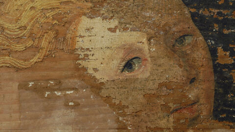 Foto. Schöllenbacher Altar, Schloß Erbach, Odenwald, bemalte Rückseite der Predella, Engelsgesicht während der Reinigung.