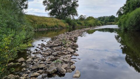 Seltene Hinterlassenschaft des Erztransports. Mohlenreste des Lahnhafens in Braunfels-Tiefenbach. Foto. Mohlenreste des Lahnhafens in Braunfels-Tiefenbach.