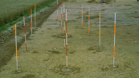 Pfostengruben eines eisenzeitlichen Hausgrundrisses mit Markierungsstangen zur Visualisierung, Niederweimar, Kreis Marburg-Biedenkopf 