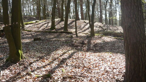 Eisenzeitlicher Grabhügel im Wald bei Rödermark-Urberach (Lkr. Offenbach).