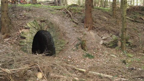 Nur einer von Hunderten noch erhaltenen Stolleneingängen. Die Grube Glücksstern bei Weilmünster-Essershausen. Foto. Stolleneingang der Grube Glücksstern bei Weilmünster-Essershausen.