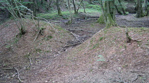 Wasser war zum Waschen da. Heute durchbrochener Damm einer Erzwäsche bei Braunfels-Bonbaden.  Foto. Heute durchbrochener Damm einer Erzwäsche bei Braunfels-Bonbaden.
