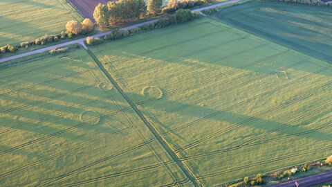 Das Luftbild zeigt archäologische Strukturen in Südhessen.