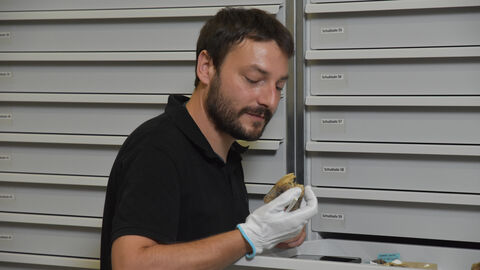 Foto eines Archäologen bei der Betrachtung von Funden.