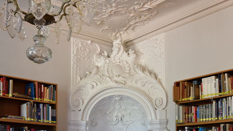 Foto. Bibliothek im Schloss.