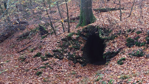 Stollenmundloch der Grube Hermine (Runkel-Eschenau) aus der Hochphase des heimischen Eisenerzbergbaus Ende des 19. Jahrhunderts. Foto eines Stollenmundlochs der Grube Hermine (Runkel-Eschenau) aus der Hochphase des heimischen Eisenerzbergbaus Ende des 19. Jahrhunderts.