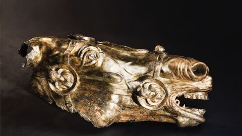 Pferdekopf von Waldgirmes