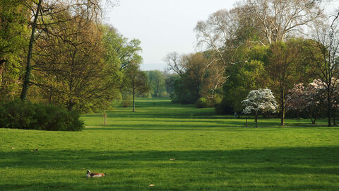 Blick in den von Sckell gestalteten Park