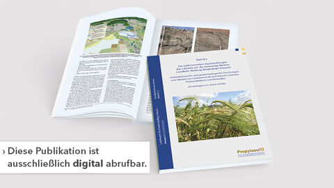 Umschlag und Innenteil von Fundberichte aus Hessen, Beiheft 11