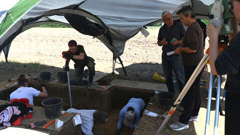 Ausgrabung im Überblick.