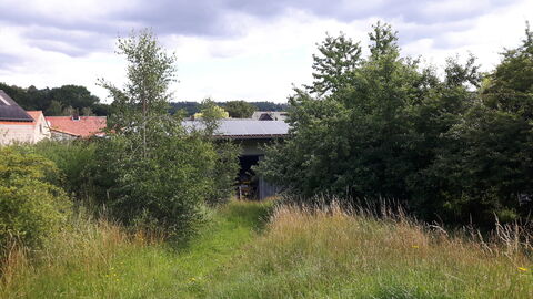 Obst- und Gemüsegarten Blick auf einen zugewachsenen Gemüsegarten. Im Hintergrund eine Scheune mit Solaranlage.