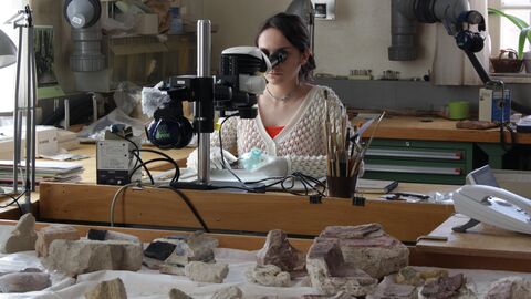 In der Restaurierungswerkstatt in Wiesbaden werden die geborgenen Funde unter Laborbedingungen restauriert und konserviert. Freiwillige in der Restaurierungswerkstatt