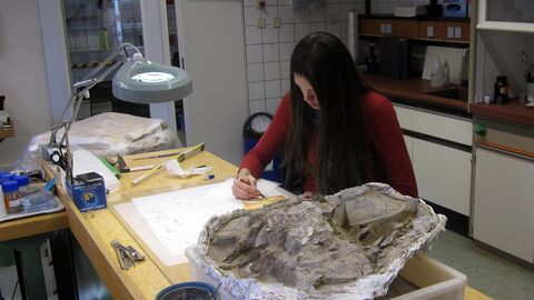 Auch wenn die Fotodokumentation heute Standard ist, wird zuweilen noch von Hand gezeichnet. Freiwillige zeichnet einen Fundkomplex.