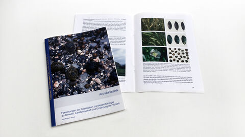 Heft 1: Archäobotanik Mockup Publikation