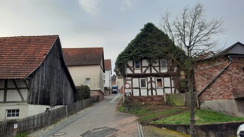Fachwerk, Giebel ist mit Efeu bewachsen