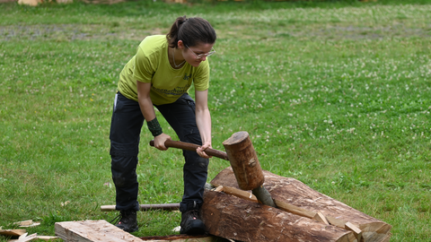 Freiwillige bei der Holzarbeit