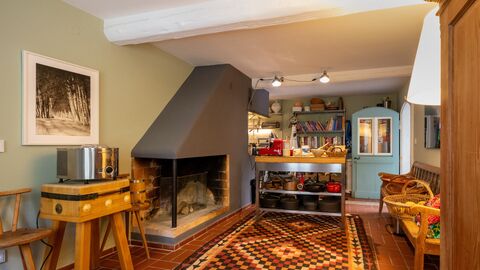 Raum mit hellrün gestrichener Wand und großem Kamin