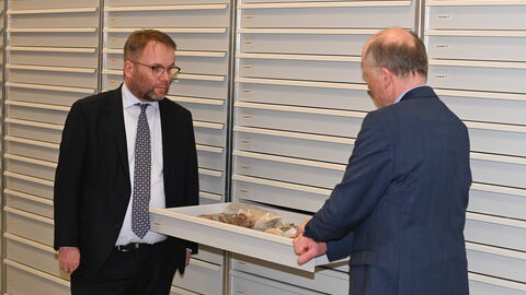 Hessens Landesarchäologe, Prof. Dr. Udo Recker, präsentiert Staatsminister Timon Gremmels Teile der paläontologischen Sammlung der hessenARCHÄOLOGIE.