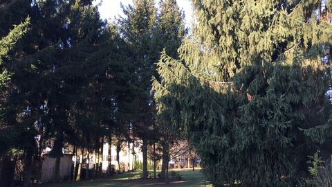 Die drei Gebäude gruppieren sich um einen Innenhof