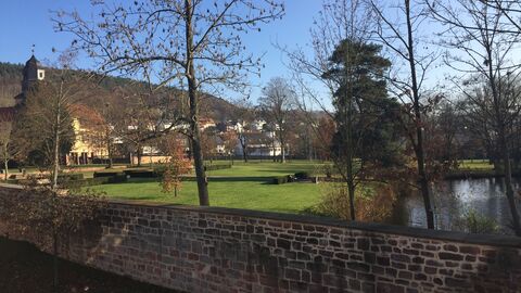Zum Grundstück gehört ein Garten mit altem Baumbestand