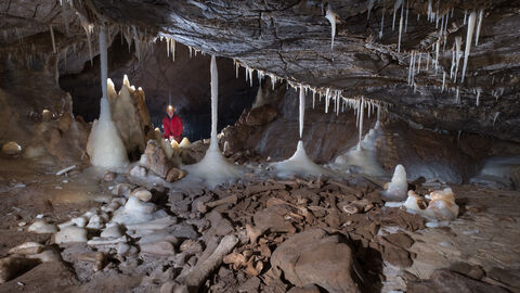 Die besondere Situation im Bärengang: Sinterbildungen auf fossilen Bärenknochen. Die besondere Situation im Bärengang: Sinterbildungen auf fossilen Bärenknochen.